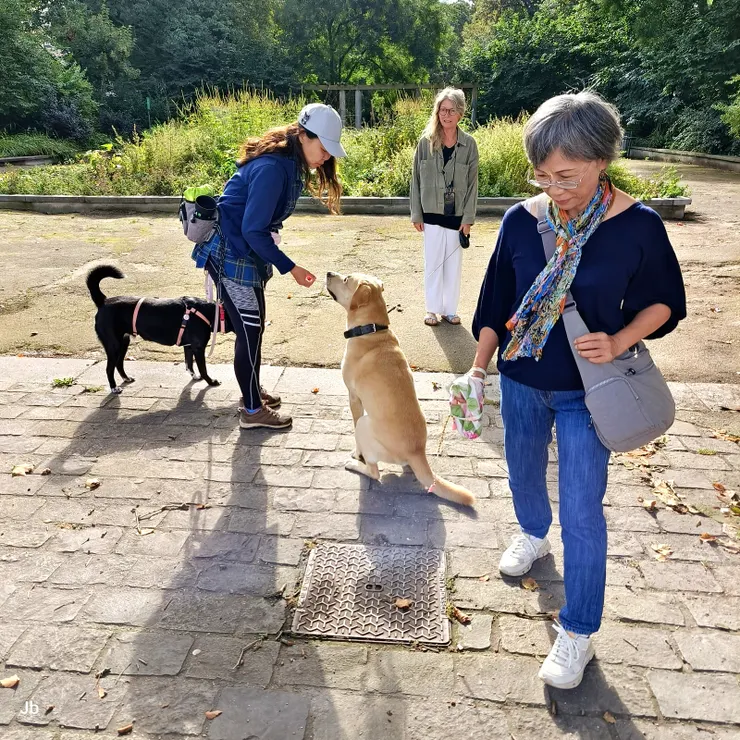【帶阿肥前往大公園(城堡公園)途中，遇見熟悉的狗友。】