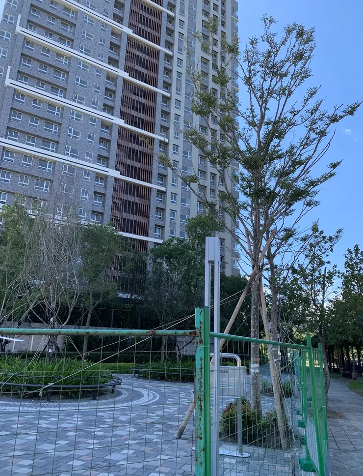 從側面紫藤花步道看上去。