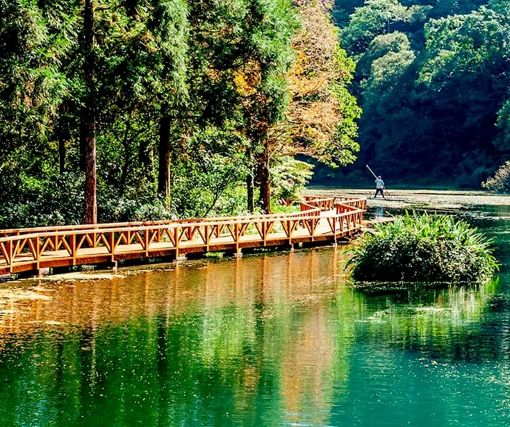 圖片來源：農業部林業試驗所