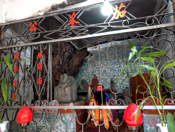 茄苳公就是指這棵茄苳樹的「樹神」