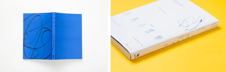 《小鳥小哲學》，菲利浦・杜柏瓦＆艾莉絲・胡梭著，2022年，啟明出版，Liaowei-graphic(L/g/s)工作室封面設計（圖片來源如有侵權請告知，將配合刪除）