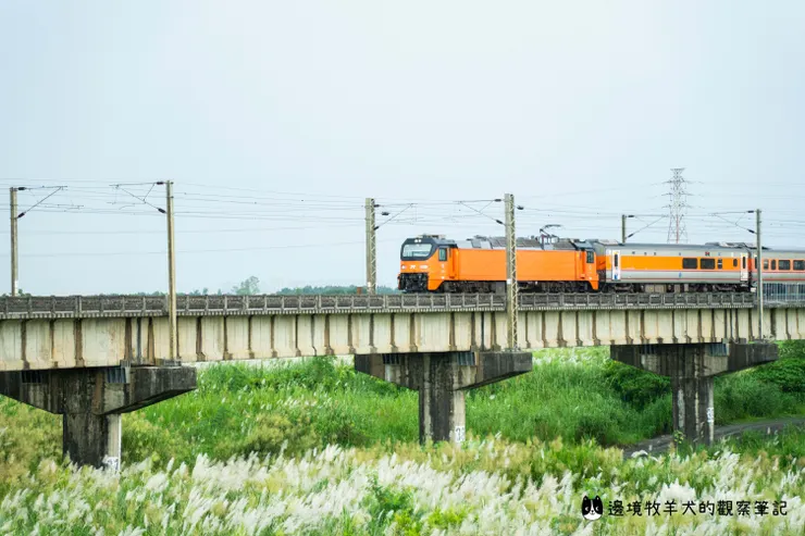 行經高屏溪邊的自強號