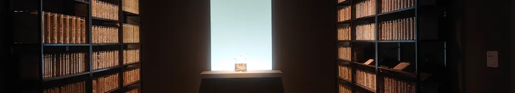 Sylvia的人生煥容術的沙龍