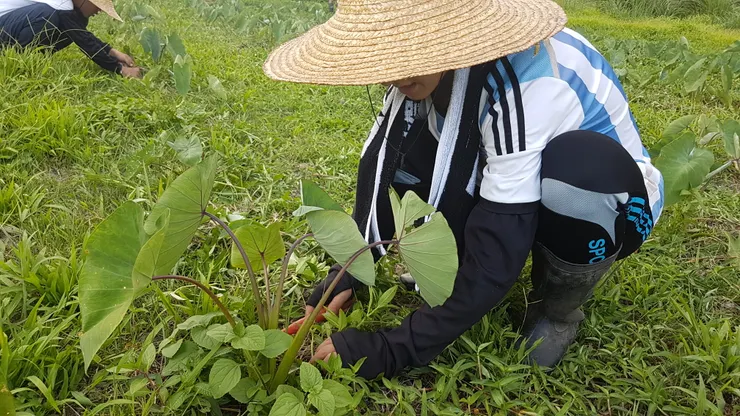 當農夫可不容易。