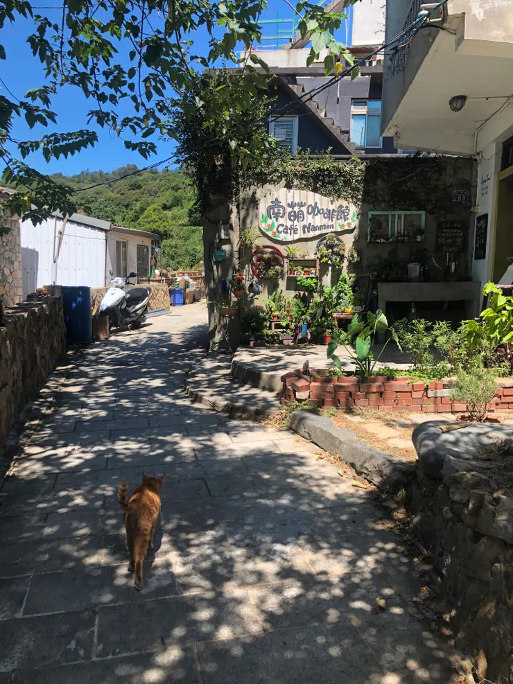 南萌咖啡廳與貓