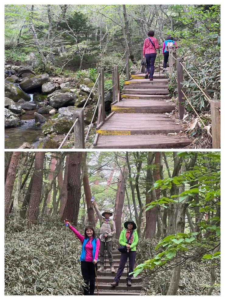 一開始走在樹林間平緩路徑， 沿著潺潺溪流前行沿著木棧道向上。