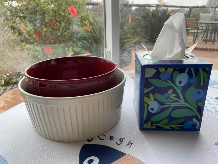 跟面紙盒差不多大的碗公