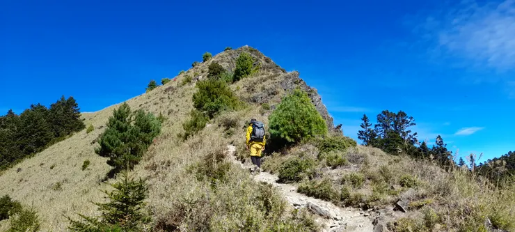 登桃山，不用登山杖