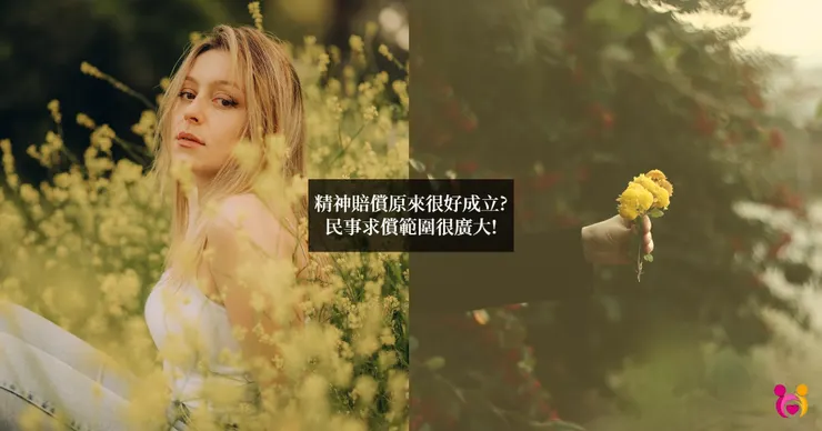 精神賠償提告其實不難!