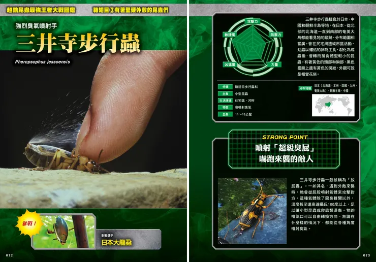 三井寺步行蟲|《最強戰鬥5:超酷昆蟲 最強王者大戰圖鑑》|小角落文化出版