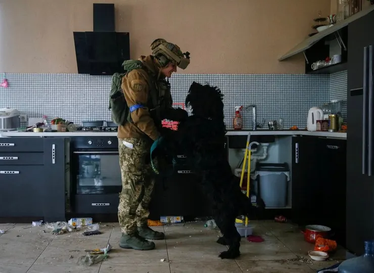 這應該整場戰爭中我最喜歡的一張照片