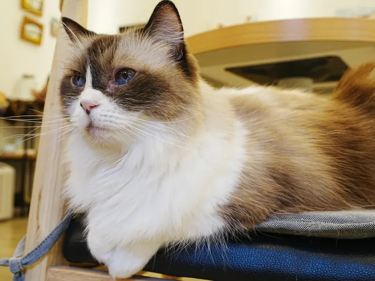 明天禮拜一，培養上班情緒