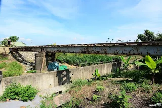 在東山端拍攝(7390)