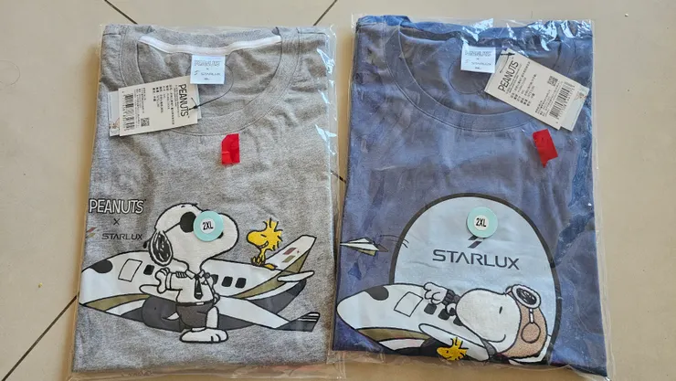 我前幾天買了兩件星宇航空的T恤回家!一件960元!