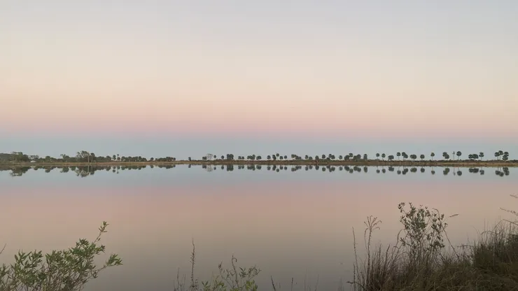 實際顏色比照片更飽和鮮艷一點