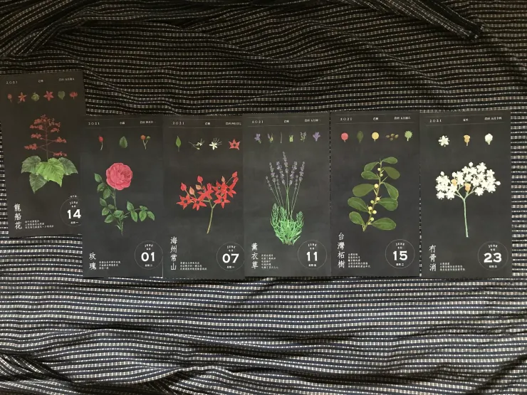 於是無法穿出門的衣服，墊在6月選花之下。