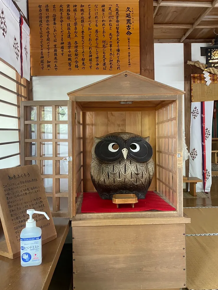 代表智慧的貓頭鷹