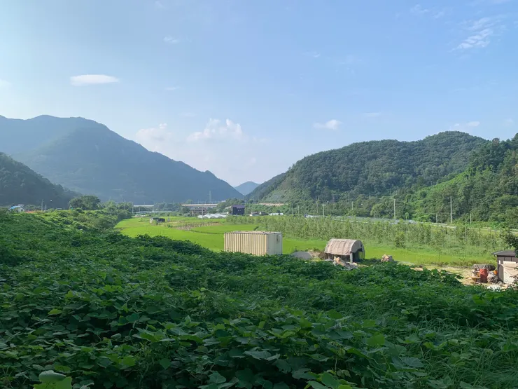 看看韓國的鄉村景色