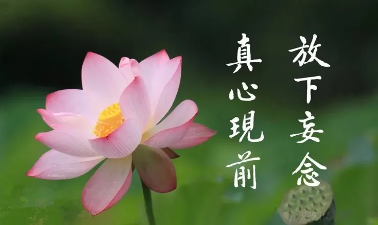 佛號梵唄 : 一向專念 阿彌陀佛 求生淨土