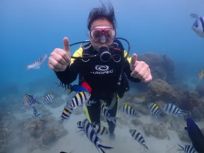 Film reviewer, Wanderlust