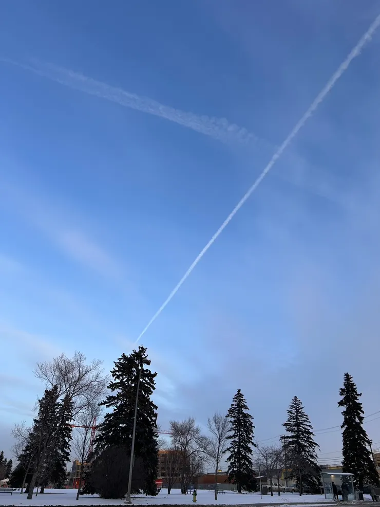 那天儀式結束後，午後的天空，似乎是TARA正式起飛了
