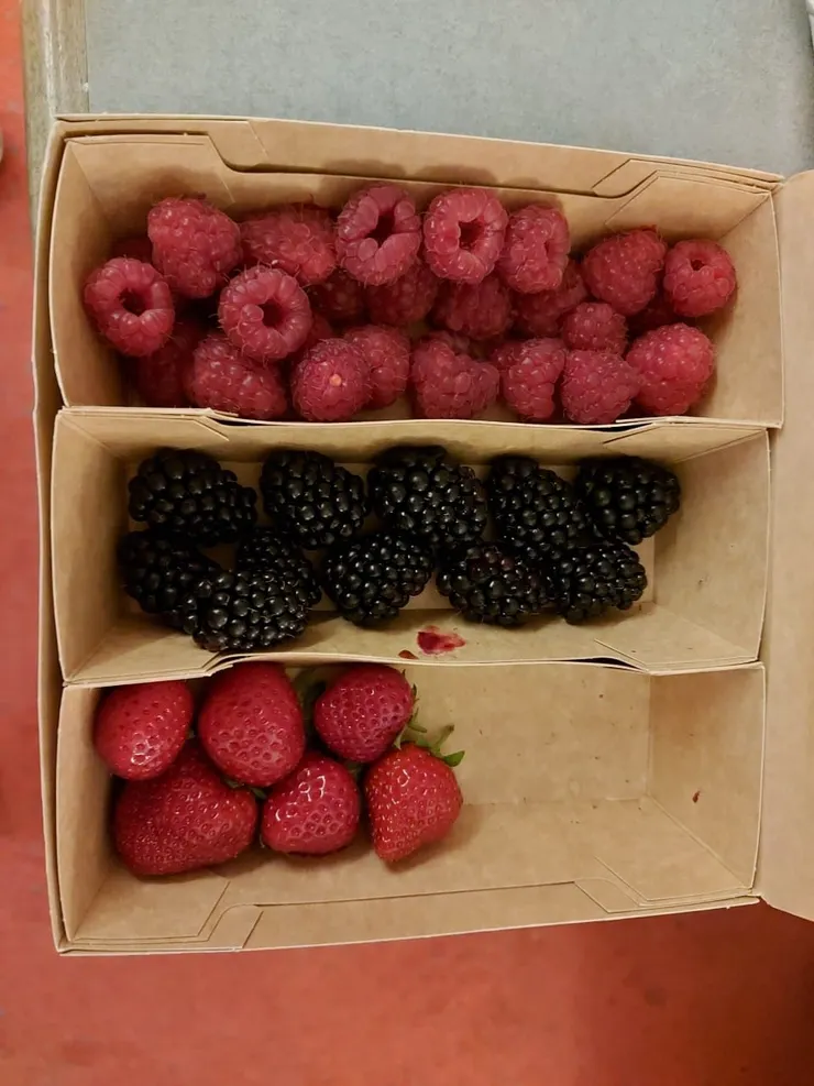 在Coop超市購買的新鮮莓果，從德國到瑞士，吃了不少，有酸有甜，好吃！
