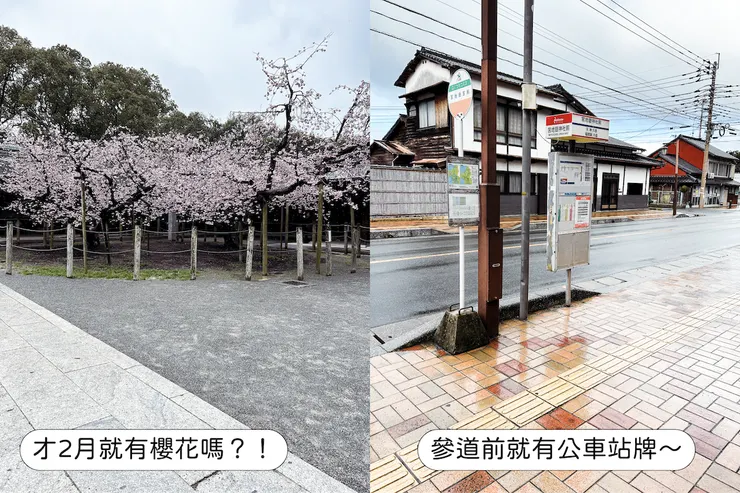 raw-image