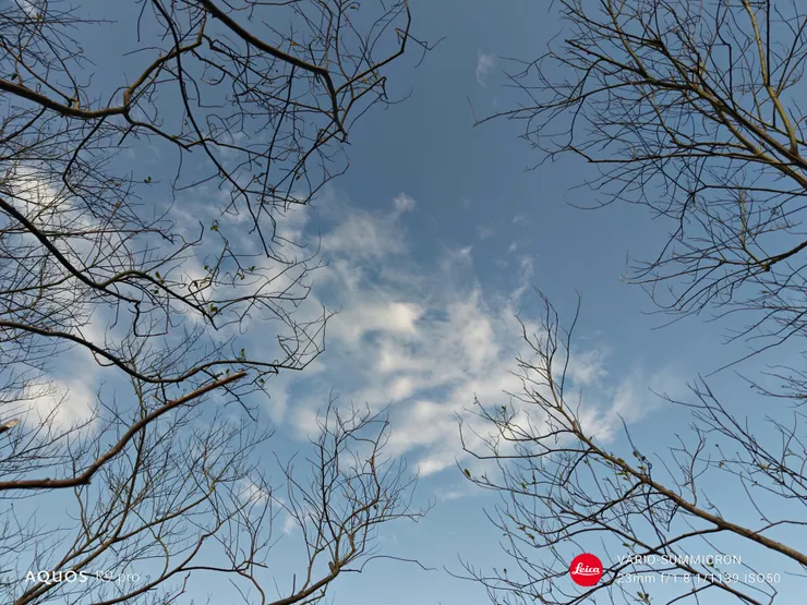 冬日的晴空。(SHARP AQUOS R9 pro,23mm)