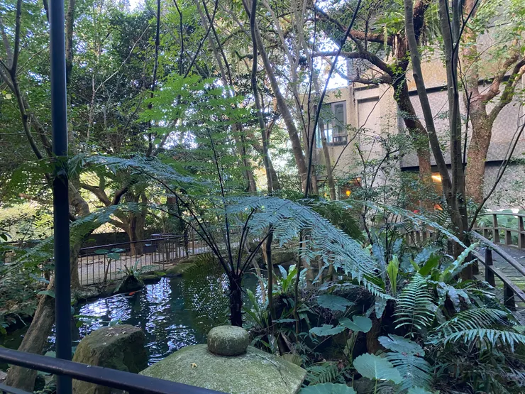 去餐廳一推開門印入眼簾的一片綠意