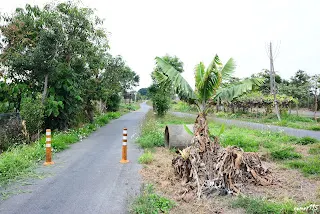(9401)-左邊是大林線，右邊是斗南線-往虎尾方向拍