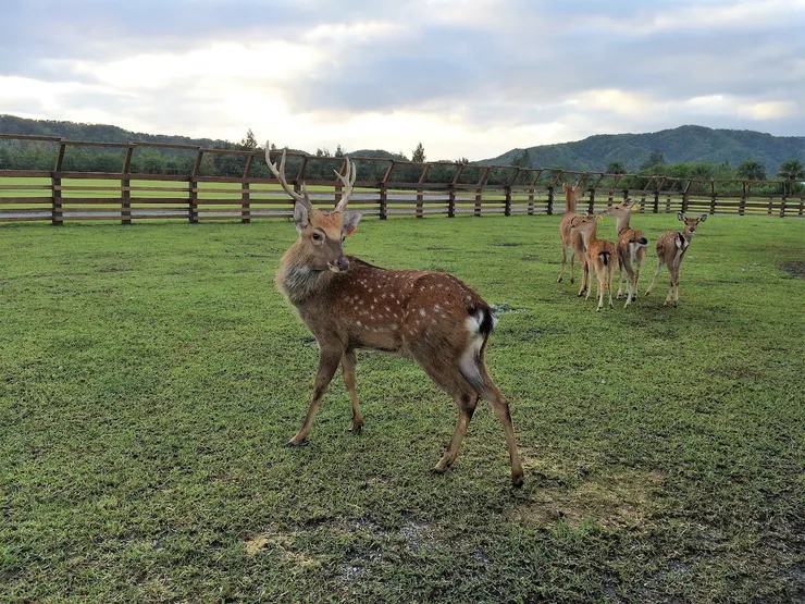 支持躊躇不前的每個人