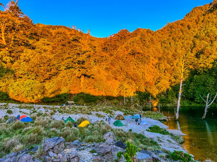 陽光把蒼鬱翠綠披上金黃澄澄
