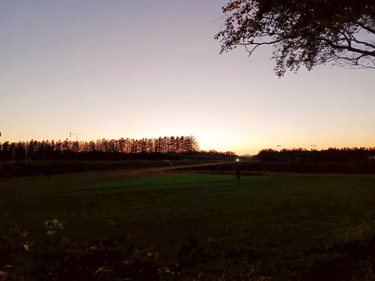 第一日十勝牧場的白樺並木，待的時間其實很短