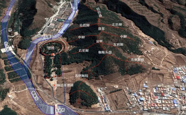 蜘蛛吐絲格局鳥瞰