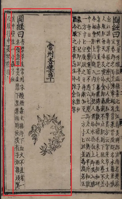 北宋《本草圖經》本經外草類卷第十九