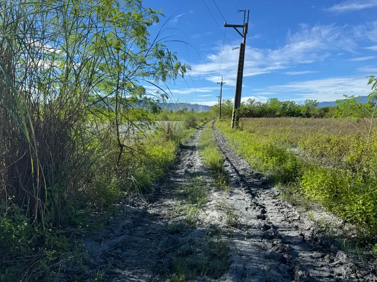 往鳳林鎮長橋里的道路