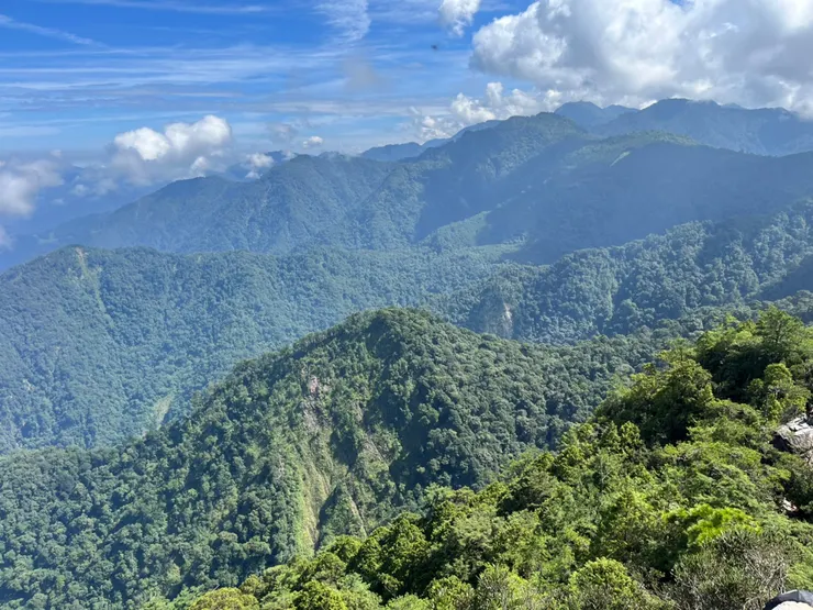 鳶嘴山下坡路段