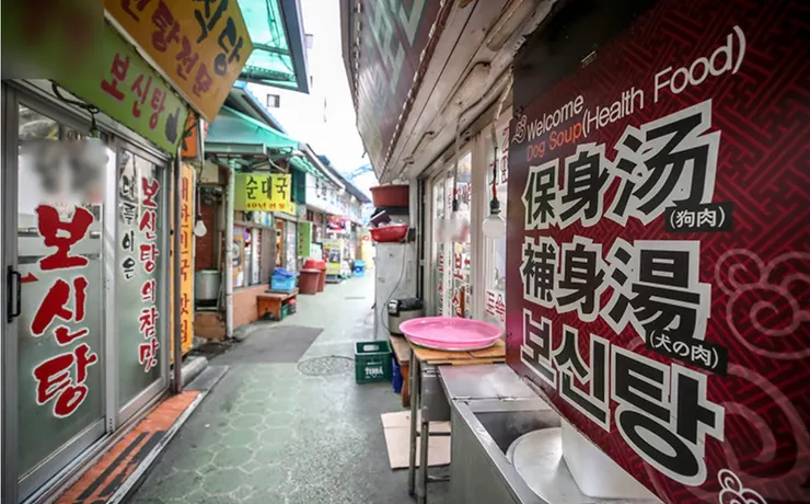 禁食狗肉已成定局，補身湯店隱身巷弄｜圖片來源：東亞日報