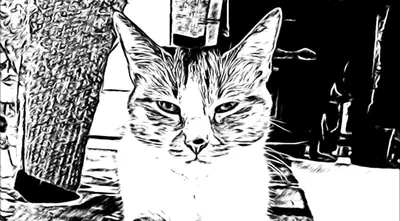 爸爸！我不喜歡吃藥～～