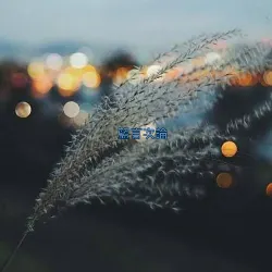 藍言次論的沙龍