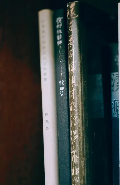 書架上的書籍近拍照片，從左至右依次是徐珮芬的《在黑洞中我看見自己的眼睛》、《夜行性動物》與《還是要有家具才能活得不悲傷》