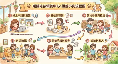 領養小狗小貓流程