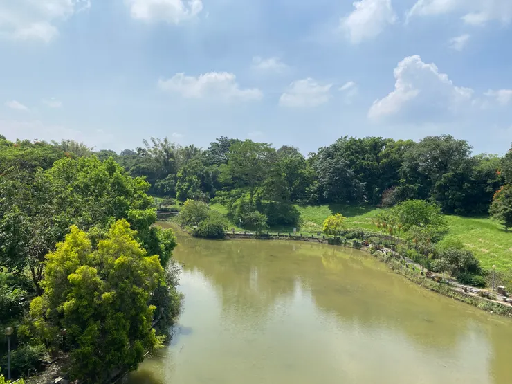 中正大學的寧靜湖