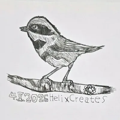 紅頭山雀：國際畫鳥日(2026年04月08號)