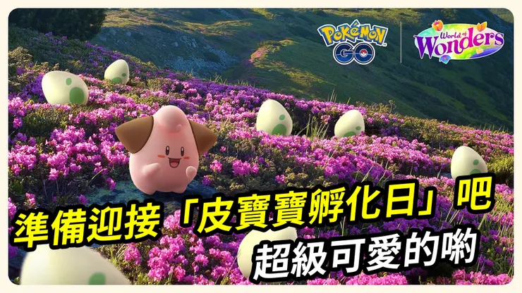 皮寶寶孵化日