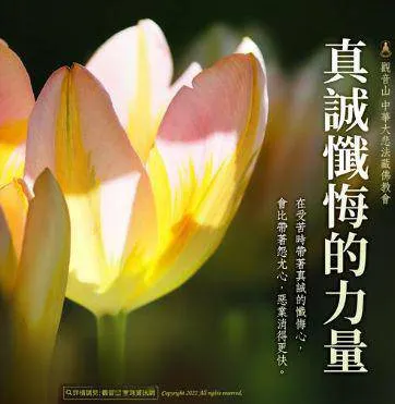 懺悔的力量~公案感應