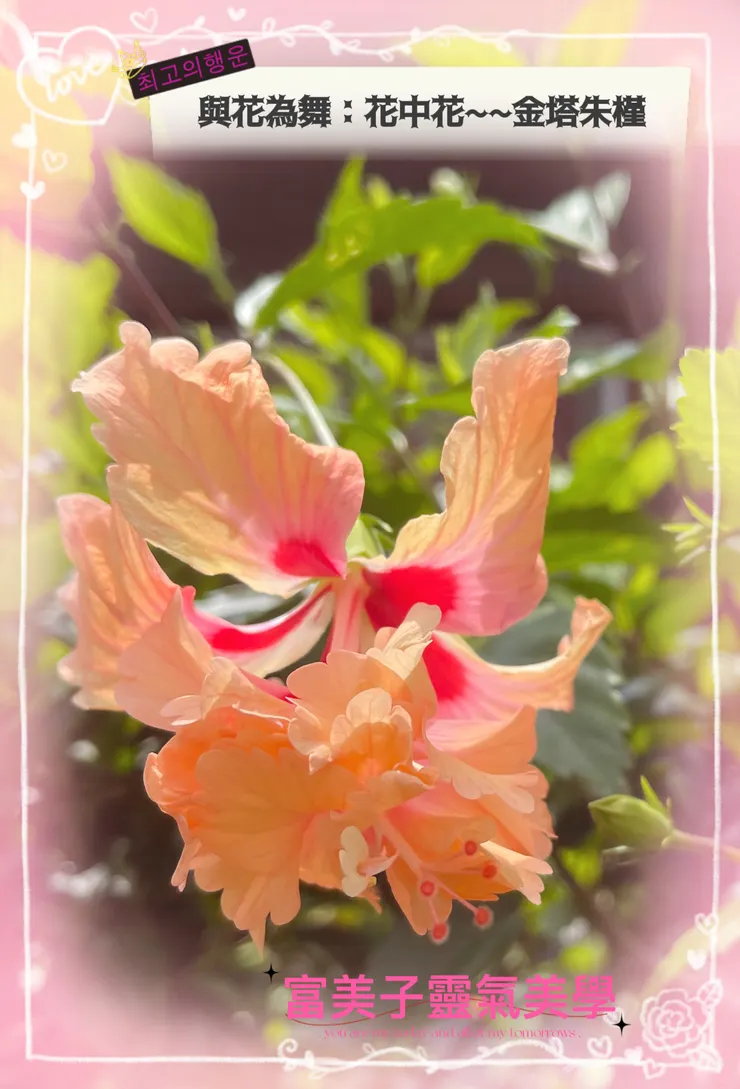 金塔朱瑾🥰🥰🥰-富美子靈氣美學