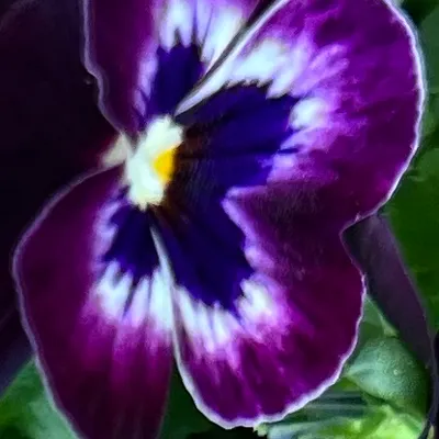 一起分享電影戲劇、小說創作與生活大小事的絮語