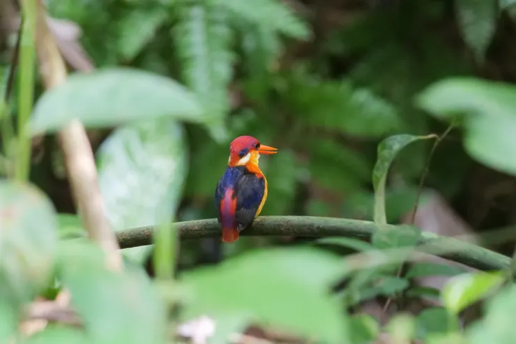 小朋友，你在看什麽啊？