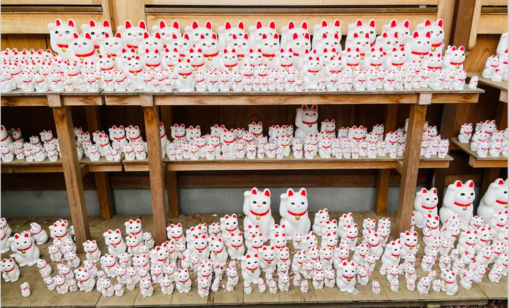 成千上萬隻的招財貓，吸引了所有人的目光。